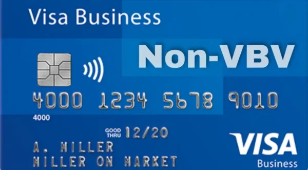 NONVBV AND NON MSC BINS 2025
